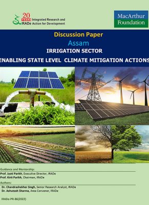 Discussion Paper Irrigation Sector - Assam-1 copy