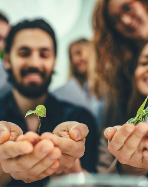 Businessman's hands are holding a fresh young plant sprout in soil. Symbol of growing and green business.